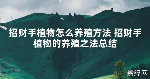 【2024最新风水】招财手植物怎么养殖方法 招财手植物的养殖之法总结【好运风水】